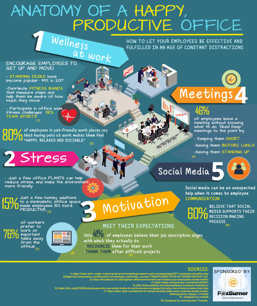 Anatomy of a happy productive office